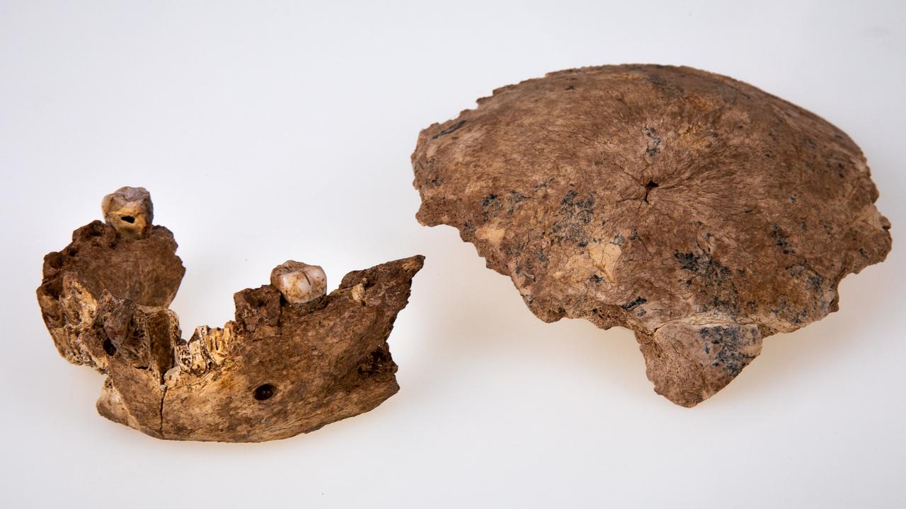 The fossilised jaw and skull of ancient human Nesher Ramla Homo are thought to be about 130,000 years old. Picture: Avi Levin and Ilan Theiler, Tel Aviv University