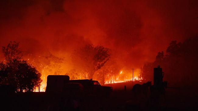 Residents race to save livestock near Termeil between Bateman’s Bay and Ulladulla on Tuesday. Picture: AAP/Dean Lewins