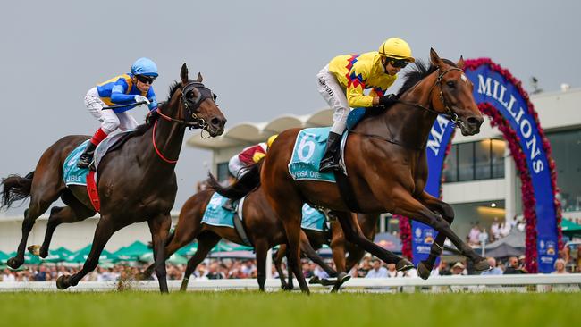 Gold Coast races will carry prizemoney on par with purses available on Saturday in the city. Picture: AAP