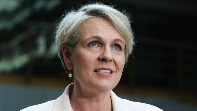 Environment Minister Tanya Plibersek has defended the summit and criticised the Coalition for considering money spent on preserving nature a waste. Picture: Gaye Gerard