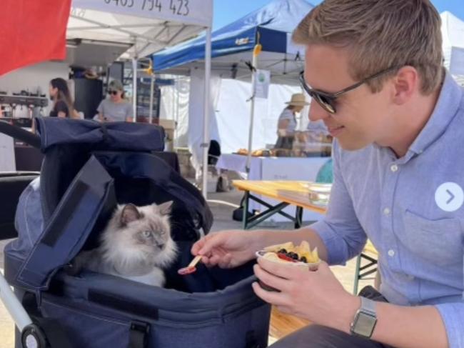 Liberal MP Jordan Lane and his cat head out for brunch.