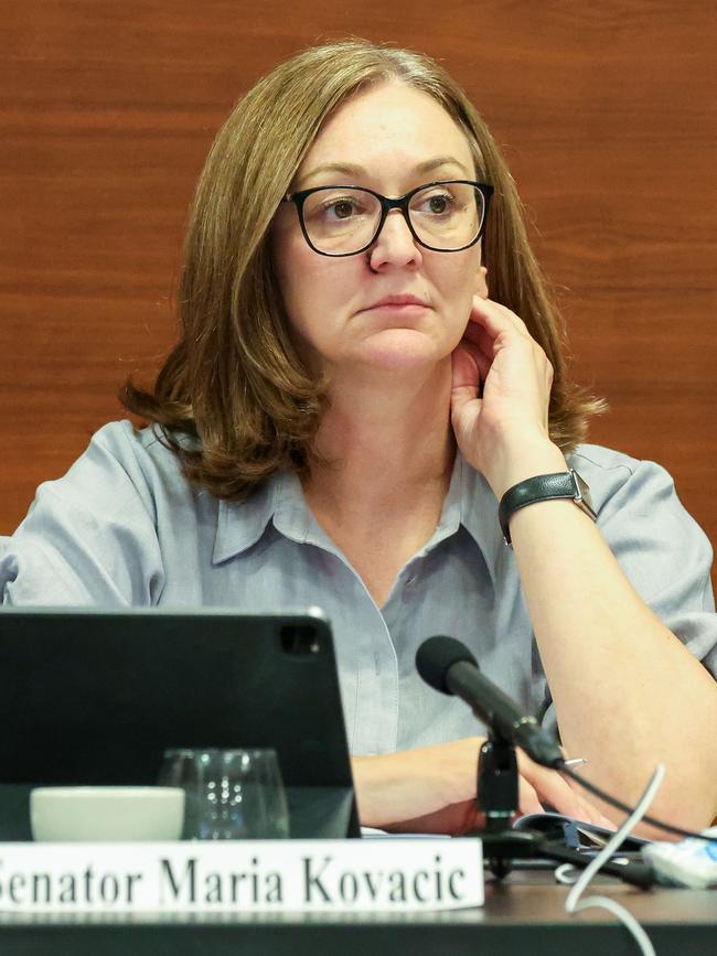 Liberal Maria Kovacic said last week’s GST distribution was ‘unacceptable, and indefensible’. Picture: NCA NewsWire