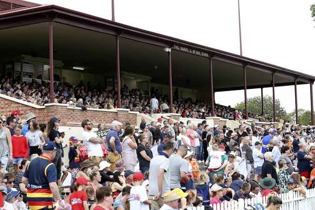 AFLW supporters fill the grandstand at Peter Motley Oval for the game against the GWS Giants. Picture Sarah Reed.