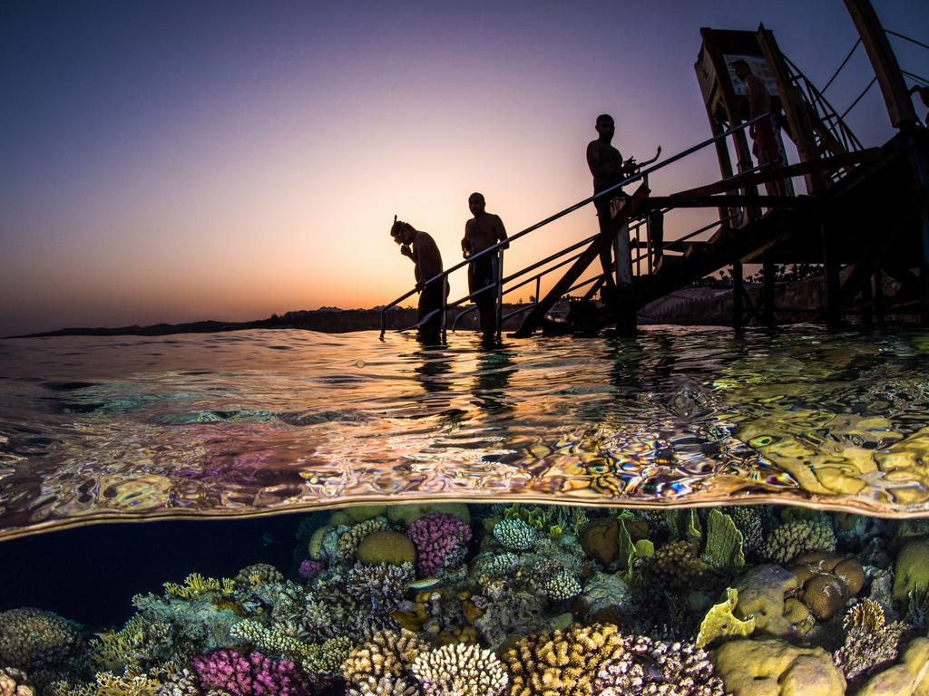 Underwater Photographer of the Year 2018. THIRD Category 1. Wide Angle Credit name: Brook Peterson/UPY 2018 Nationality: United States Image caption: Sunset Snorkel Country taken: Egypt Location: Ras Um Sid, Red Sea “In the calm waters around Ras Um Sid when I noticed several people walking down the pier with snorkel gear. My first thought was to wait until they were out of the way, but then I realized that THEY were the story.”