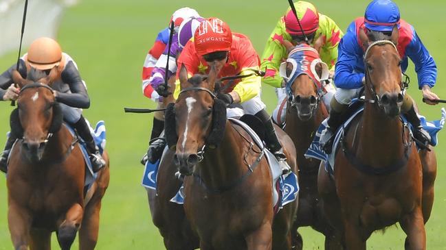 Wild Ruler caught the eye at the trials. Picture: AAP