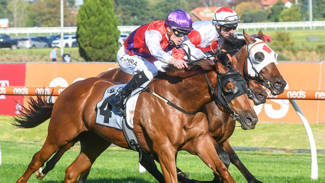 Kings Consort finds a suitable race for his return. Picture: Brett Holburt/Racing Photos via Getty Images