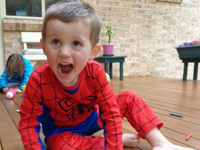 William Tyrrell went missing from Kendall. Picture: Supplied