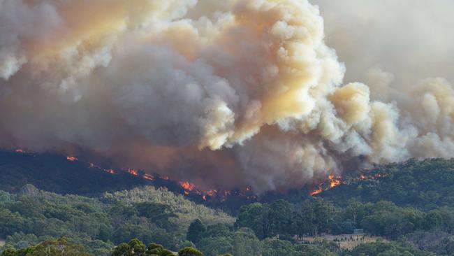 Out of control Cherry Gardens fire, Saturday, January 24, 2021. Picture: Brenton. Edwards