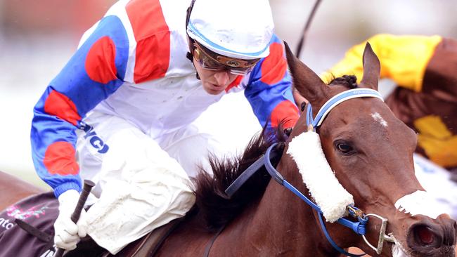 Super filly Mosheen is among the 81 horses threatened with disqualification.