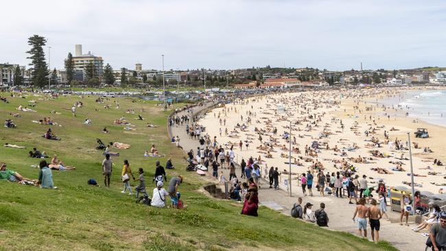 Backpackers have been lapping up the delights of destinations such as Bondi Beach while international students have faced a crackdown. Picture: Monique Harmer