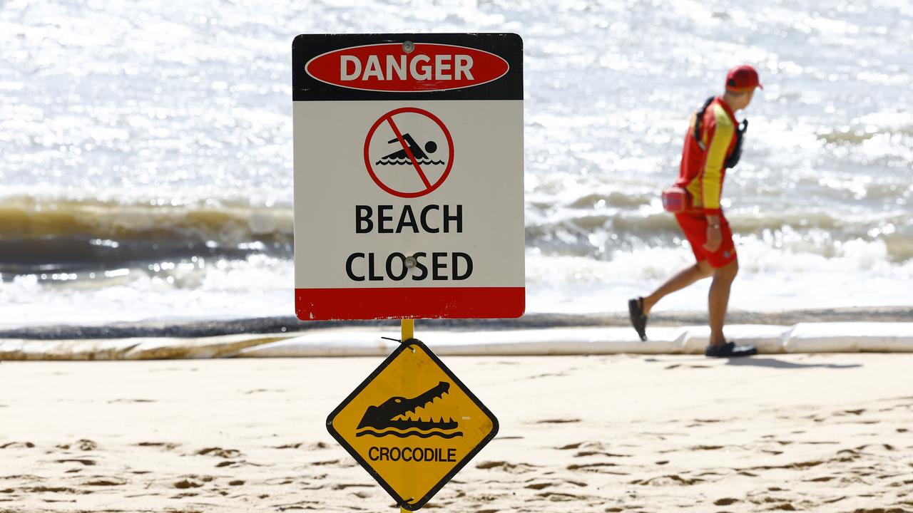 Trinity Beach was closed last Saturday morning when a small saltwater croc was seen swimming close to shore in the stinger net enclosure. Council lifeguard Arjan Wynberg erected a Danger - Beach Closed sign after spotting the crocodile. Picture: Brendan Radke