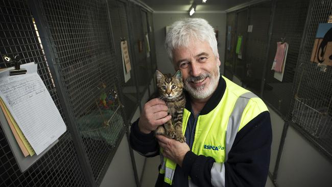 RSPCA Tasmania has announced CEO Andrew Byrne is stepping down from the role. Picture: CHRIS KIDD