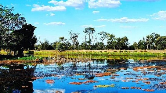 WANDOAN PROJECT: Councillor Kylie Bourne said The Western Downs is home to many beautiful outdoor landscapes and friendly people, and the council is committed to investing in projects to promote the region as a visitor destination to boost the local economy. Pic: Supplied