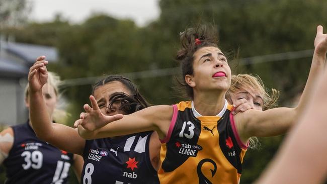 Dandenong Stingrays’ Taylah Gatt. Picture: Valeriu Campan