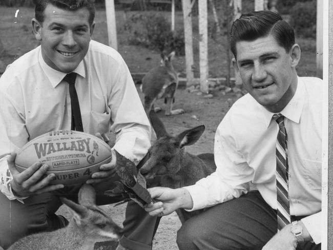 Wallabies of 1963 Dallas O'Neill (left) and Dick Marks with...a couple of wallabies.