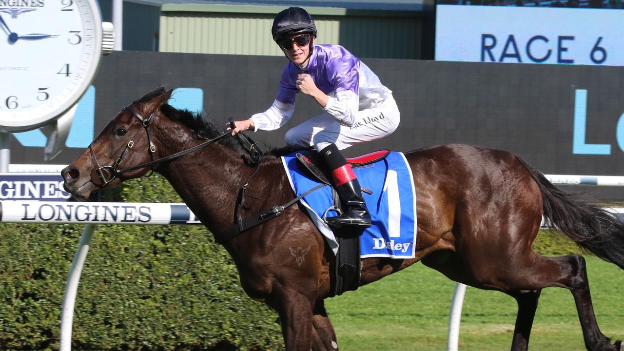 Zac Lloyd has faith Tiz Invincible can provide him with his first Group 1 win despite a wide draw in the Flight Stakes at Randwick on Saturday. Picture: Grant Guy