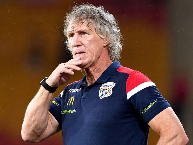 BRISBANE, AUSTRALIA - FEBRUARY 08: Coach Gertjan Verbeek of Adelaide watches on during the round 18 A-League match between the Brisbane Roar and Adelaide United at Suncorp Stadium on February 08, 2020 in Brisbane, Australia. (Photo by Bradley Kanaris/Getty Images)