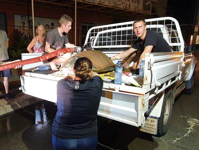 Firefighters and wildlife rescuers try their best to keep a turtle, which was struck by a boat propeller, alive.