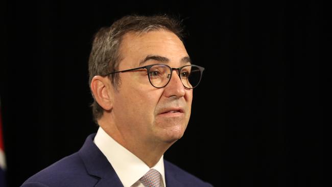 South Australian Premier Steven Marshall. Picture: Tait Schmaal