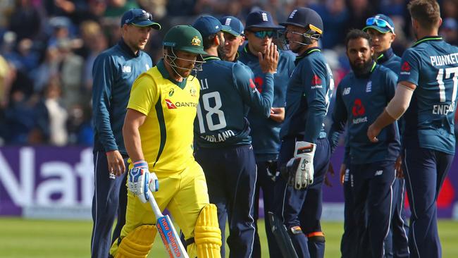 The Poms celebrate getting the wicket of Aaron Finch cheaply in Cardiff.