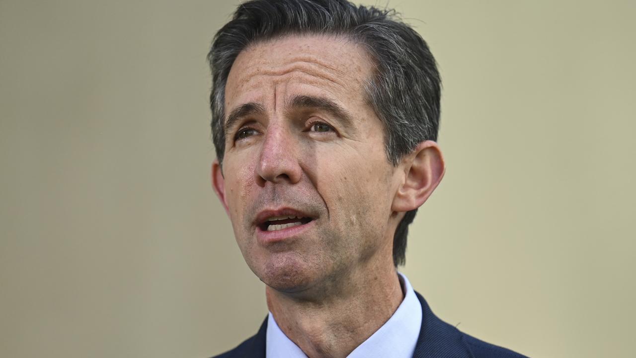 Shadow defence minister Simon Birmingham said Israel “had a right to defend itself.” Picture: Martin Ollman/NCA nE