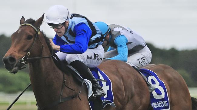 Steely can add to good Kembla record with another win. Picture: Getty Images