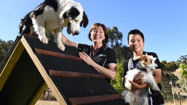 Adelaide Hills dog behaviour consultant and trainer Jo Gale with son Hugo, who shares his mum’s passion for dogs, with Australian shepherd Zeus and Jack Russell, Miley. Picture: Tricia Watkinson