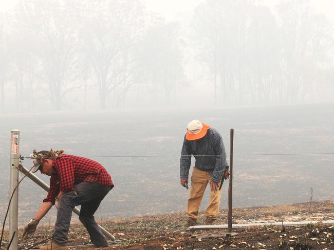 Hundreds of kilometres of fencing has been lost near Taree alone. Picture: Peter Lorimer.