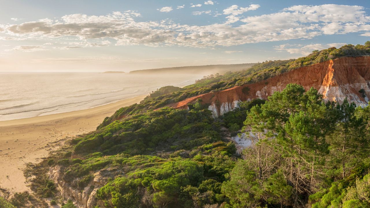 <h2>10. Eagles Claw Nature Reserve, Eden, NSW</h2><p>Come for the stunning coastal scenery and stay for the heartwarming story of little penguins returning to their long-lost home. At Eden on the NSW south coast, Eagles Claw Nature Reserve was home to one of mainland Australia&rsquo;s few little penguin colonies, until they were wiped out by feral dogs in the 1990s. Now the colony is being re-established with an innovative project to lure penguins back. The &ldquo;Scenic Views and Eagles Claw Reserve&rdquo; excursion is offered on <a href="https://go.skimresources.com?id=145349X1636243&amp;xs=1&amp;url=https%3A%2F%2Fdisneycruise.disney.go.com%2F" target="_blank" rel="noopener">Disney Wonder</a>&rsquo;s calls to Eden, teaming the penguin discovery with breathtaking coastal vistas from the viewing platforms at Boyd&rsquo;s Tower.</p><p><strong>See also:&nbsp;</strong></p><p><a href="https://www.escape.com.au/experiences/cruises/best-cruises-from-australia/image-gallery/7769a2511f6321a3d99b3f65ec30e75b">12 awesome new cruises from Australia</a></p><p><a href="https://www.escape.com.au/top-lists/our-8-favourite-cruises-australia-cant-get-enough-of/image-gallery/8960393e2bc9a5015c75c6923ba12d96">8 cruises Australia can&rsquo;t get enough of</a></p><p><a href="https://www.escape.com.au/experiences/cruises/cheap-travel-tricks-only-cruise-addicts-know/image-gallery/0947b6c54b244879f8c190ae933dad32">Cheap travel tricks only cruise addicts know</a></p>