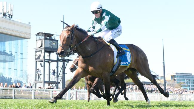 Classy on-pace runner Deny Knowledge will enjoy a sharp weight drop in Saturday’s Caulfield Cup. Picture: Racing Photos via Getty Images