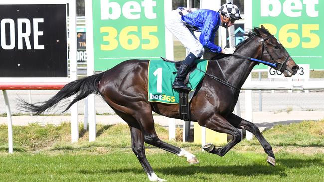 Baron Of Bedford winning at Kilmore last start. Picture: Racing Photos