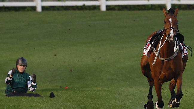 James McDonald hits the turf after being dislodged from Via Sistina at Breakfast With The Best at The Valley this morning Picture: Michael Klein