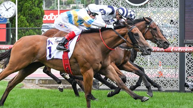 Just For Show (no.1), ridden by Craig Williams, wins the OBIS Gold Carat at Moonee Valley. Picture: Reg Ryan / Racing Photos