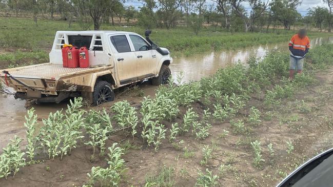 LifeFlight have rescued a man after he spent two days stranded in the wilderness near Mt Isa.