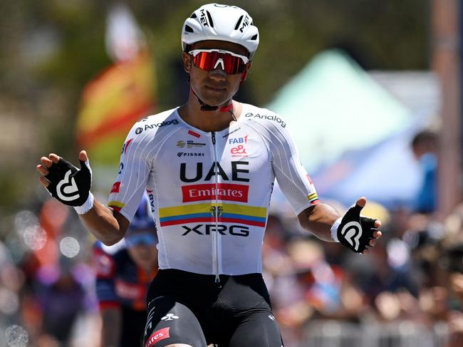 WILLUNGA HILL, AUSTRALIA - JANUARY 25: Jhonatan Narvaez of Ecuador and UAE Team Emirates Xrg celebrates at finish line as stage winner during the 25th Santos Tour Down Under 2025, Stage 5 a 145.7km stage from McLaren Vale to Willunga Hill 371m / #UCIWT / on January 25, 2025 in Willunga Hill, Australia. (Photo by Dario Belingheri/Getty Images)