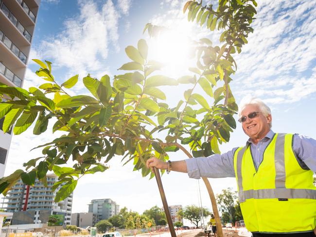 Darwin Mayor Kon Vatskalis with one or the trees planted on Daly St as part of the CBD beautification project. Picture: Che Chorley