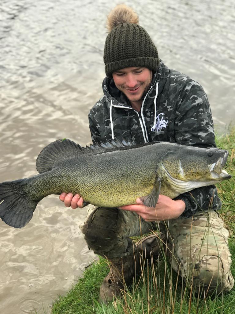 Rec Fish SA chairman Asher Dezsery with a brood stock Murray cod in Victoria. Picture: Supplied