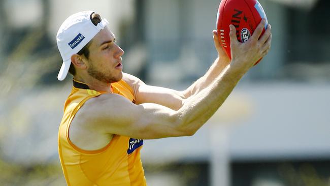 Ryan Schoenmakers should get plenty of games for Hawthorn this year. Picture: Colleen Petch