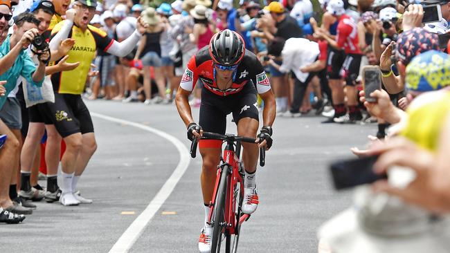 Fans cheer Porte up Willunga Hill. Picture: Tom Huntley