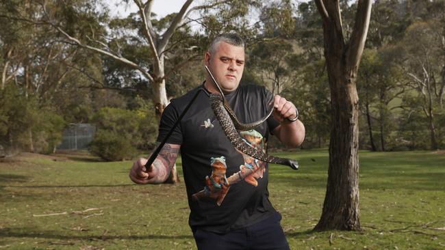 Chris Daly snatch catcher with a tiger snake. Chris, from Reptile Rescue Incorporated, has already had many calls out for removal of snakes with days becoming warmer. Picture: Nikki Davis-Jones