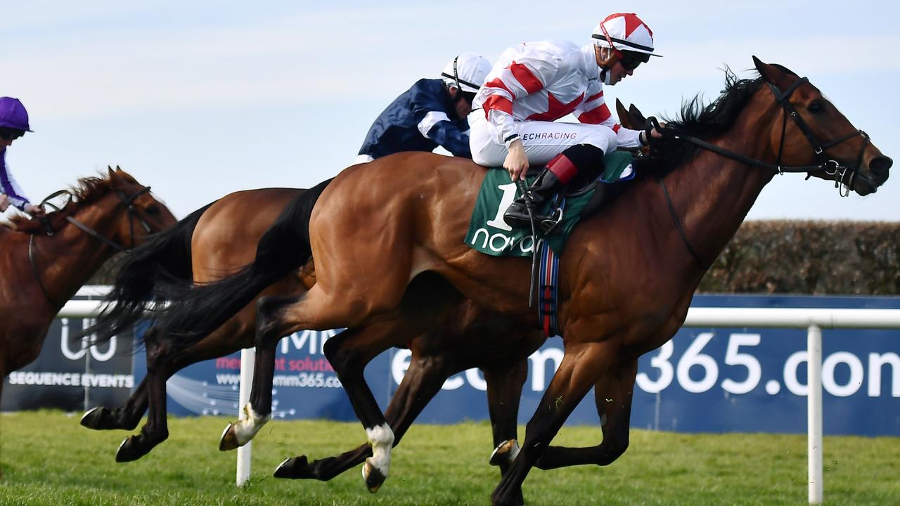 Baron Samedi (right) will contest the Group 1 Sydney Cup during The Championships. Picture: Sportsfile via Getty Images