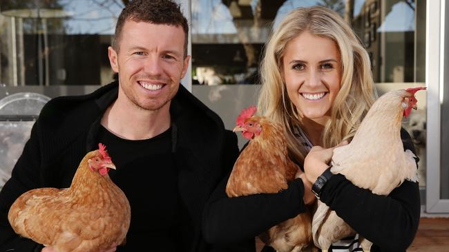 Cricketer Peter Siddle and fiance Anna Weatherlake with their pet chooks. Picture: Norm Oorloff