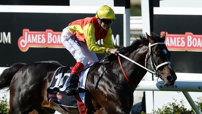 SPORT - Super Saturday, Ascot, Perth. Photo by Daniel Wilkins. PICTURED - Race 8, Good Project leads all the way ridden by Craig Williams to win the Railway Stakes.