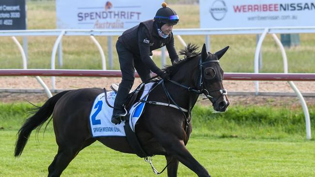 Melbourne Cup second favourite Spanish Mission has swelling in his right foreleg. Picture: Racing Photos via Getty Images