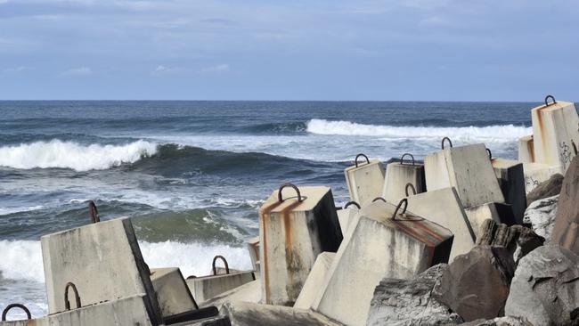 Boat allegedly ‘ran over’ whale and calf near Ballina wall