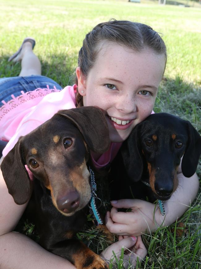 Georgia Paine 9 with her Dogs Twixie (on left) and Dixie. Picture: Mike Batterham. 