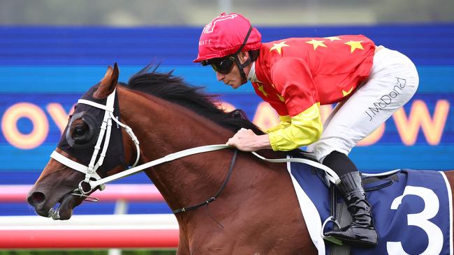 James McDonald put Militarize through his paces with an exhibition gallop on Saturday. Picture: Jeremy Ng-Getty Images