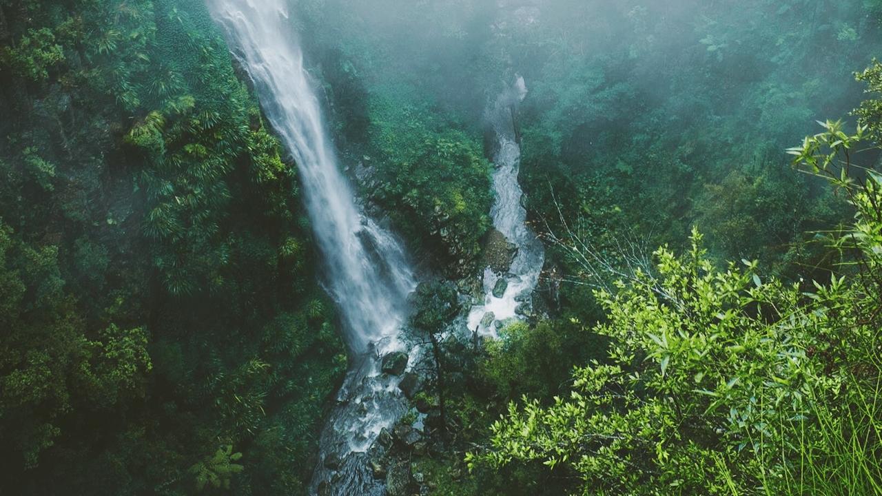 Backyard Tourist: Coomera Falls at Coomera Circuit, Binna Burra on