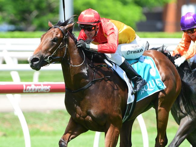 Barbie's Sister wins Calaway Gal at Eagle Farm. Picture: Grant Peters/Trackside Photography