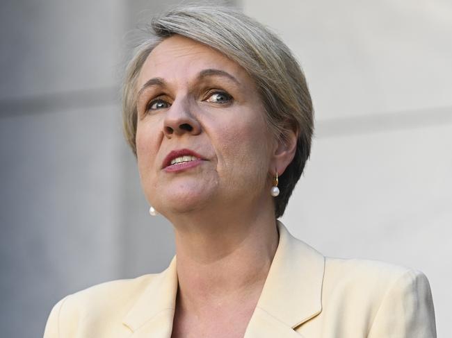 Minister for Environment and Water Tanya Plibersek. Picture: NCA NewsWire / Martin Ollman